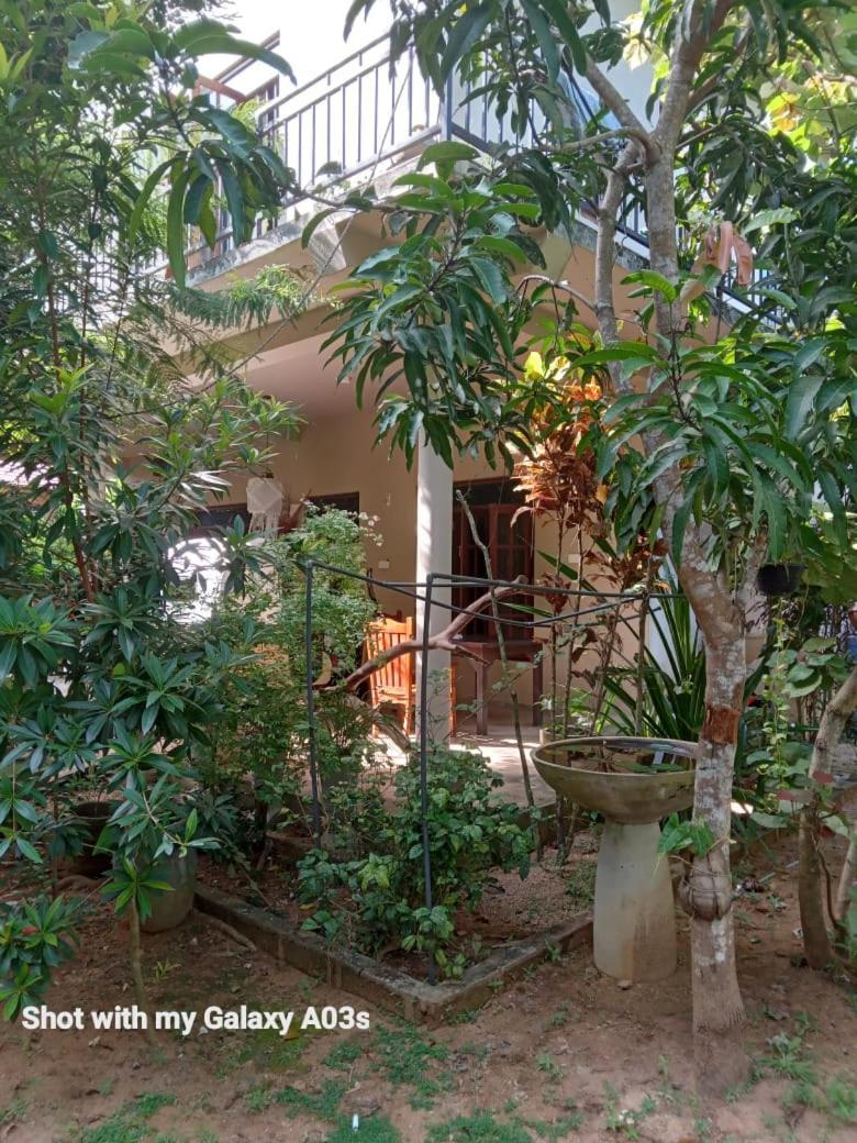 Bamboo Grove Villa Tangalle Exteriör bild